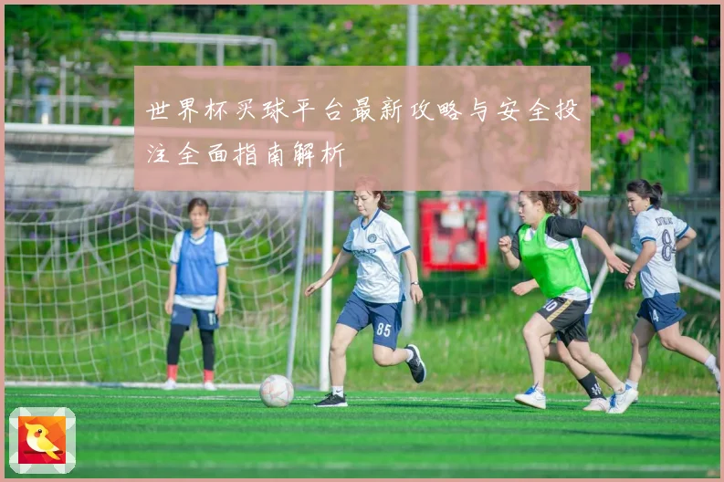 世界杯买球平台最新攻略与安全投注全面指南解析
